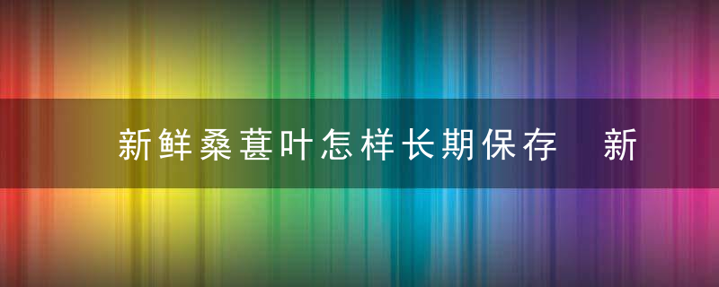 新鲜桑葚叶怎样长期保存 新鲜桑葚叶的保存方法